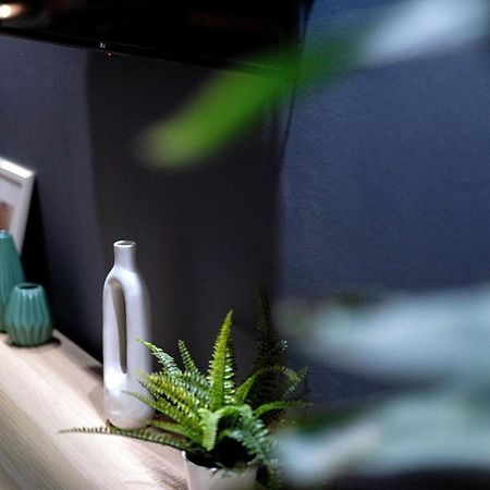 Nostos Central Apartment 干尼亞 外观 照片